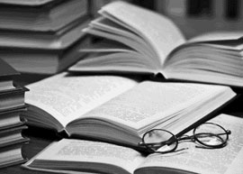 geometra torino lena